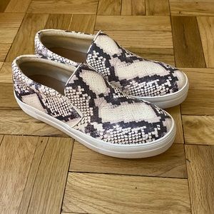 Steve Madden Sneakers